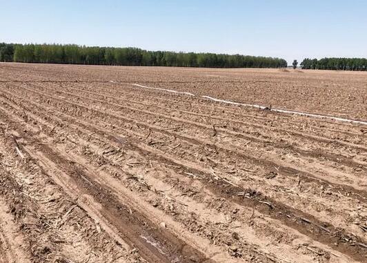 水肥一體化有什么優(yōu)點(diǎn)，怎樣使用效果才更好