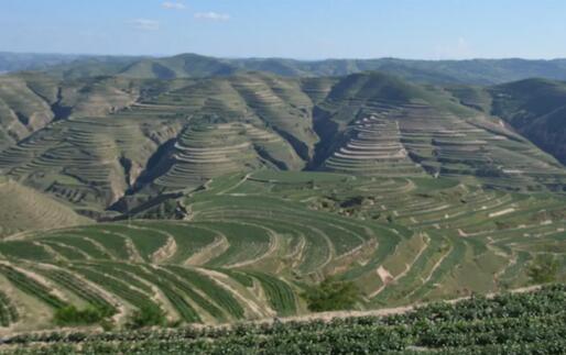 浙江大力發(fā)展種植智能化，應(yīng)用水肥一體化等新技術(shù)