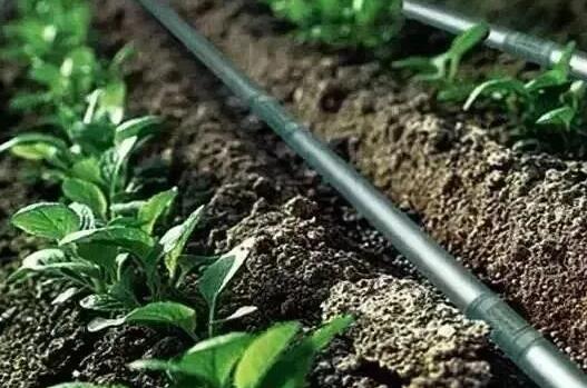 水肥一體化三種技術(shù)模式，實(shí)現(xiàn)節(jié)水節(jié)肥