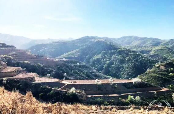 山西實施軟體水窖+水肥一體化，打造生態(tài)智慧果園